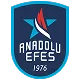 Евролига Анадолу игра за уверенность и очки