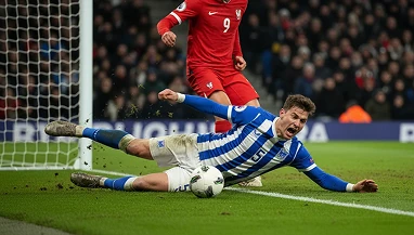 Индивидуальные лимиты в БК — что это и как их определить