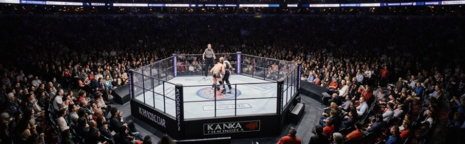 1xbet Бойцы в октагоне во время поединка перед большой ареной