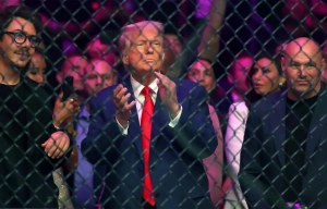 Работа над кардом уже ведётся